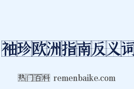 袖珍欧洲指南反义词是什么意思的图片